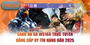 Sảnh Đá Gà WS168 Trực Tuyến Đẳng Cấp Uy Tín Hàng Đầu 2025