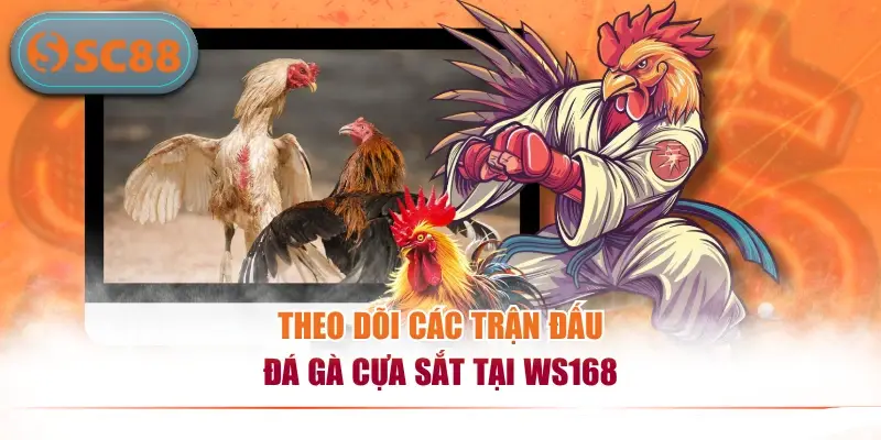Theo dõi các trận đấu đá gà cựa sắt tại WS168